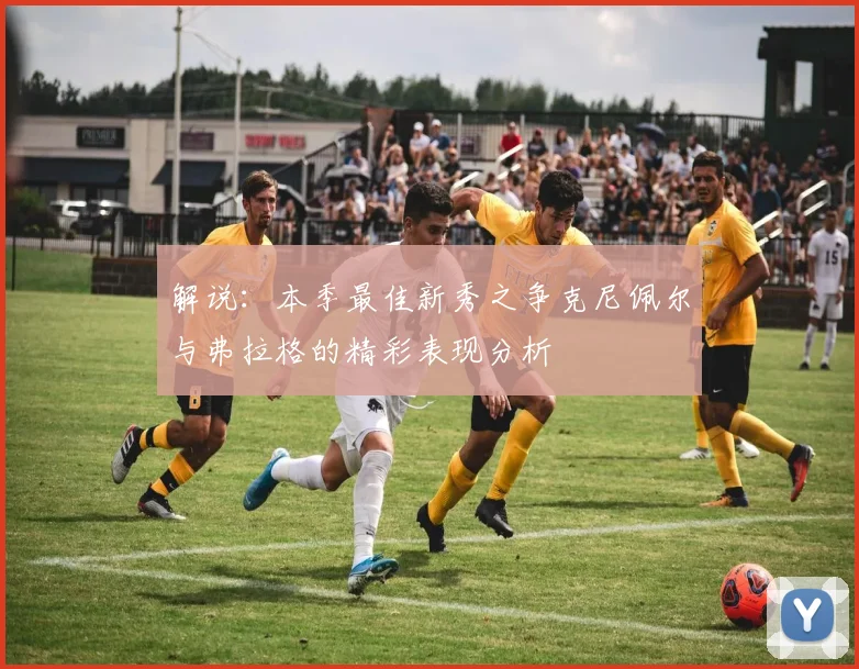 解说：本季最佳新秀之争克尼佩尔与弗拉格的精彩表现分析